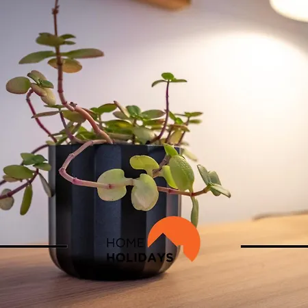 Apartamento #294 T2 Com Amplo Terraço By Holidays Albufeira